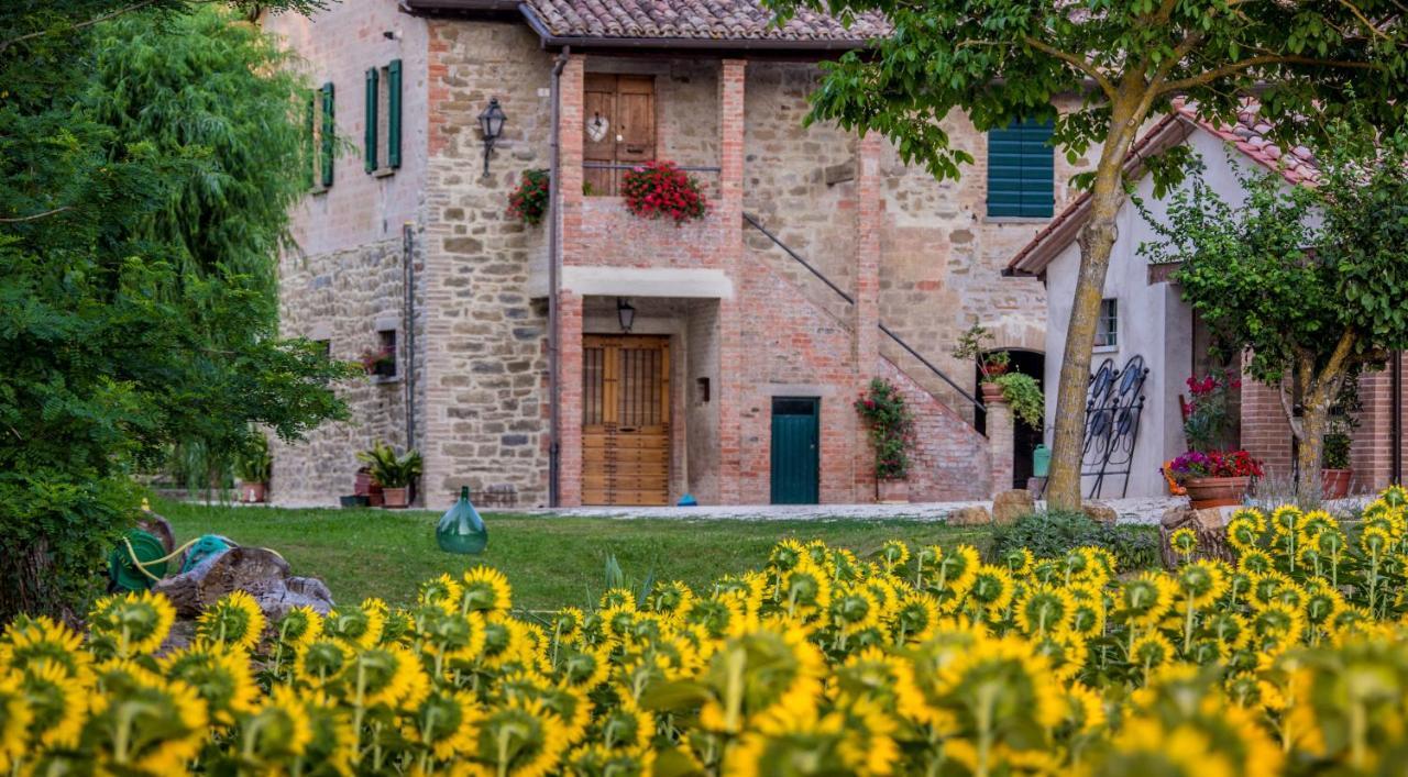 B&B Ponte La Pietra Gubbio Buitenkant foto